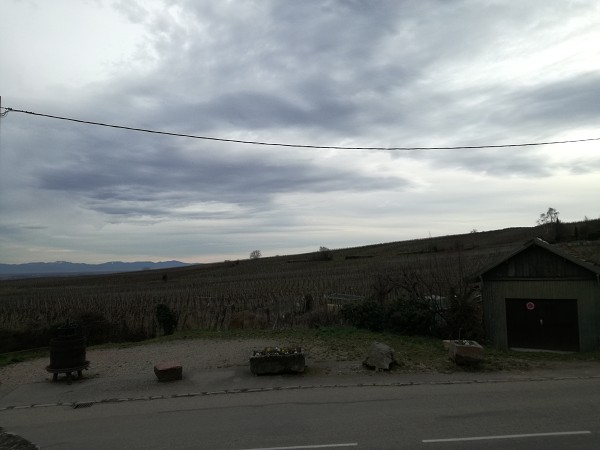 Štrasburk 2019