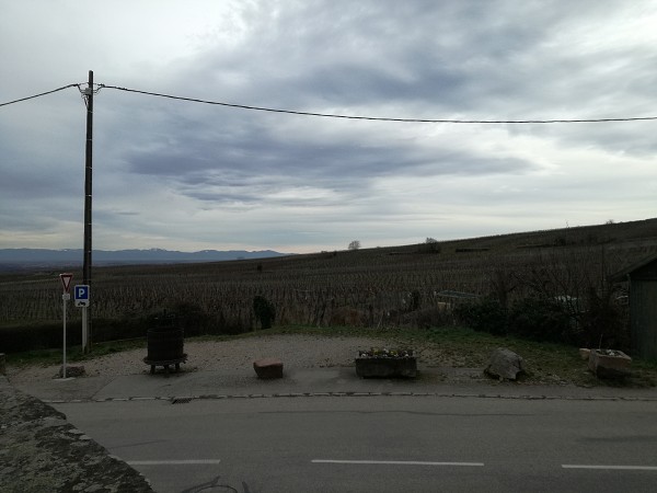 Štrasburk 2019