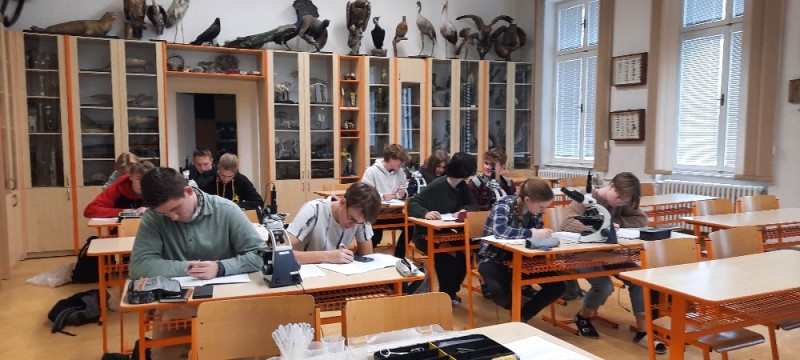 Den otevřených dveří 