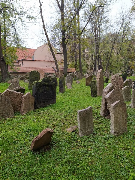 Exkurze do Židovského muzea