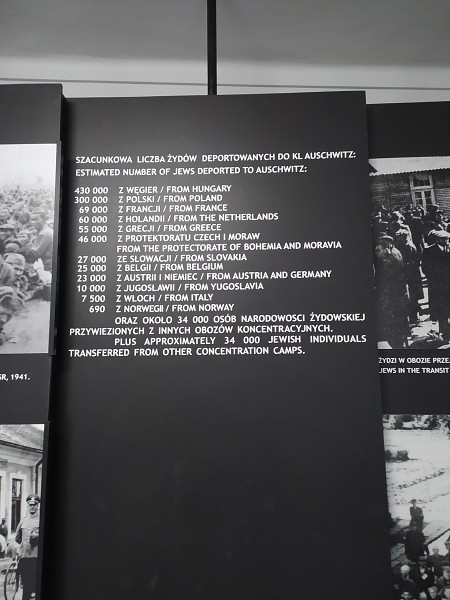 Návštěna Osvětimi 22