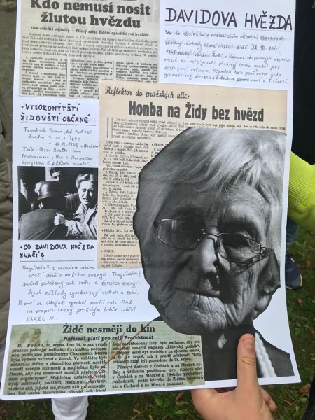 Pocta krokusům