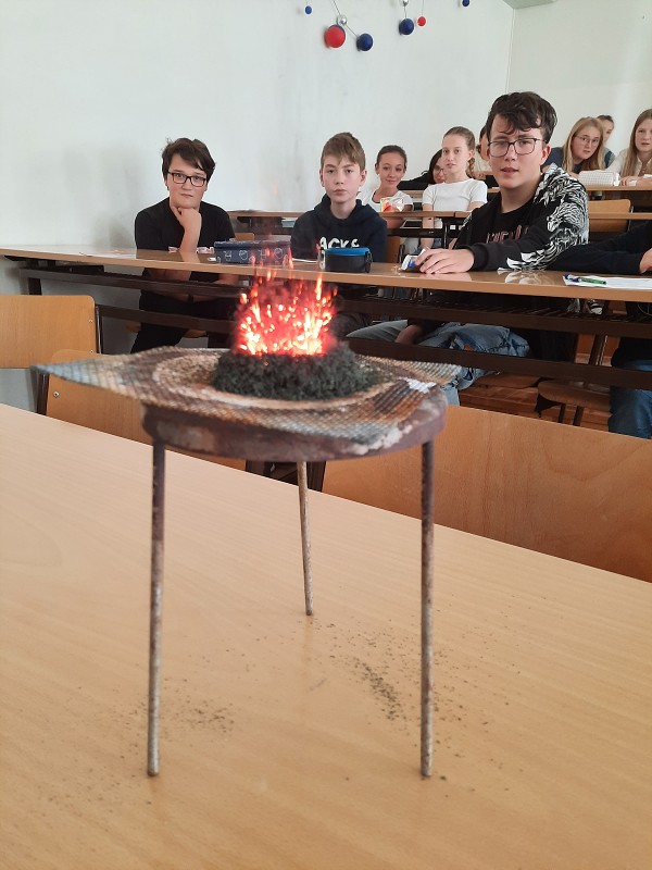 Projektové dny 22