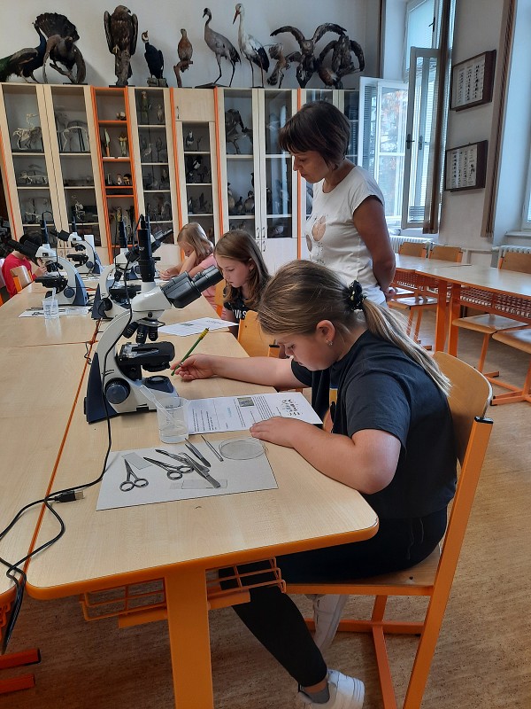 Projektové dny 22