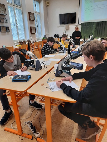 Projektový den pro ZŠ Knířov Bi, F 