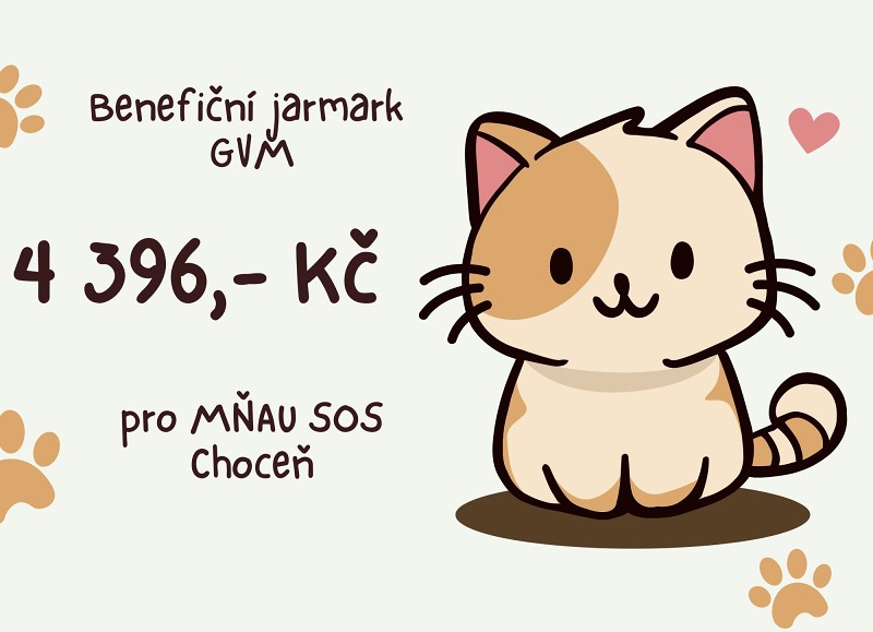 Benefiční jarmark