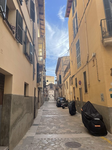 Španělštináři na Mallorce 24